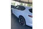 Alfa Romeo Stelvio 2.0 Turbo 16V AT8-Q4 Competizio 24.000 km 53.000 &euro; Kempen 47906