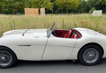 Austin Healey Andere 53.000 km 62.000 &euro; Kaarst 41564